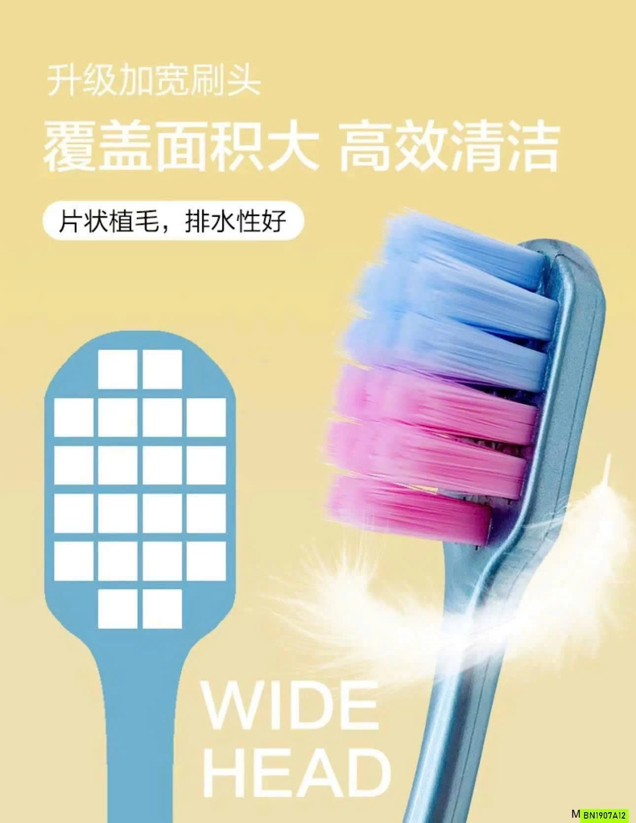 HỘP 12 BÀN CHẢI XHASON XUẤT MỸ