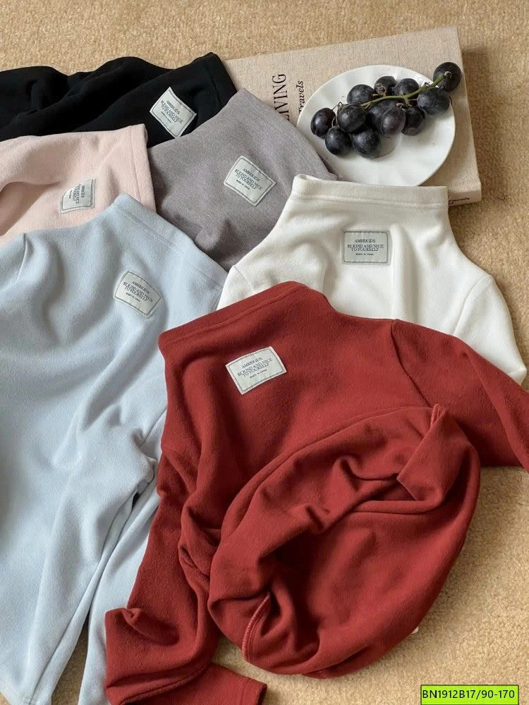 ÁO GIỮ NHIỆT TAG LƯNG AMBB 25K064