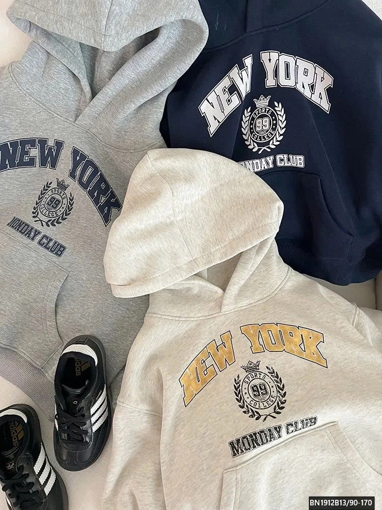 ÁO NỈ HODDIE BASIC CHO BÉ AMBB 24Z036