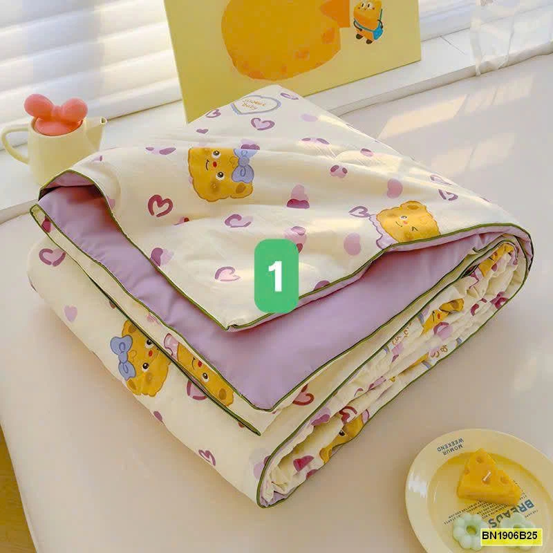 CHĂN HÈ MÁT MẺ 2 LỚP LOẠI A IN HÌNH