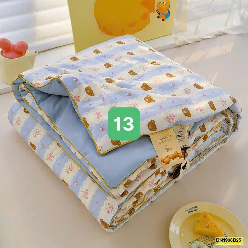 CHĂN HÈ MÁT MẺ 2 LỚP LOẠI A IN HÌNH