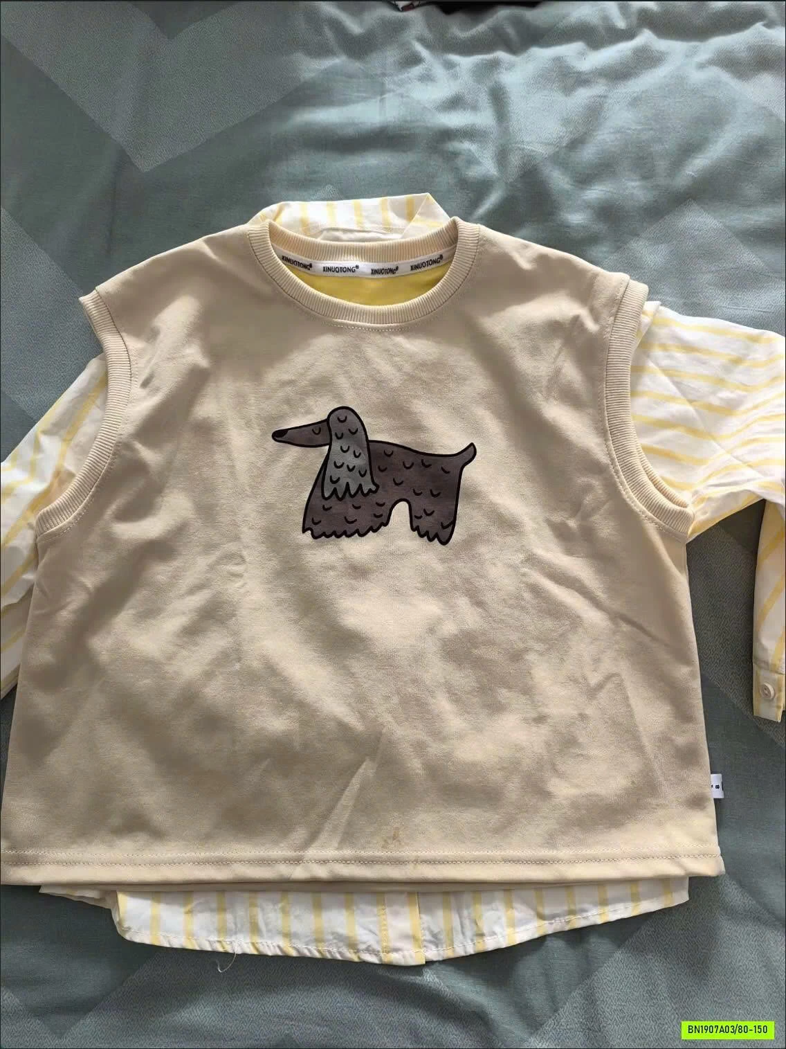 SÉT SƠ MI + GILE COTTON