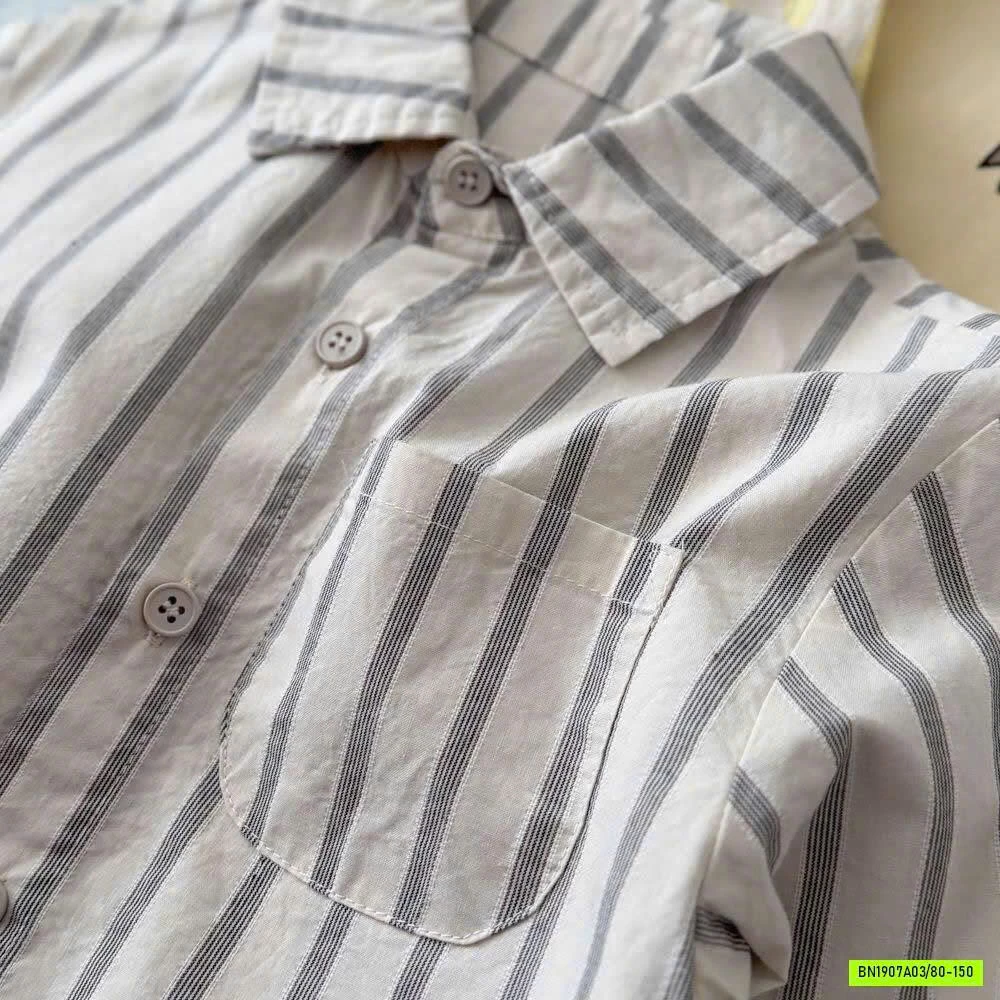 SÉT SƠ MI + GILE COTTON