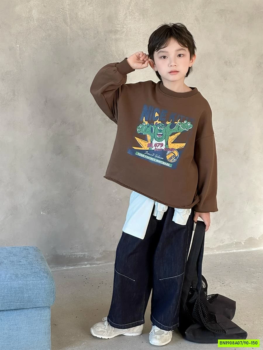 ÁO NỈ HOẠT HÌNH VINTAGE