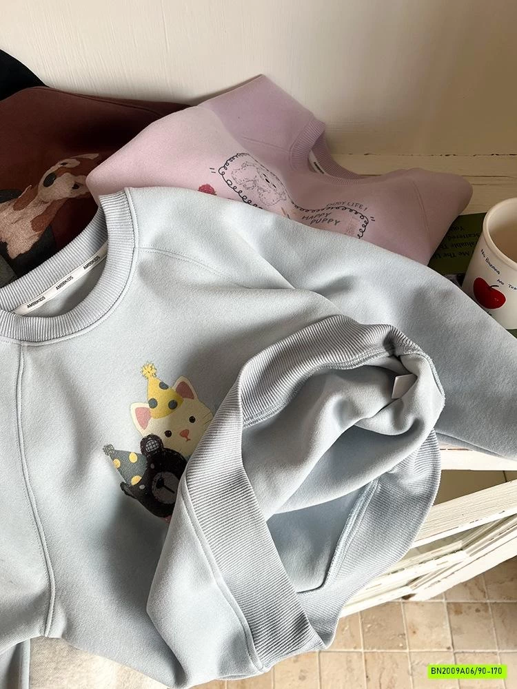 ÁO NỈ IN HÌNH 25G003 AMBB