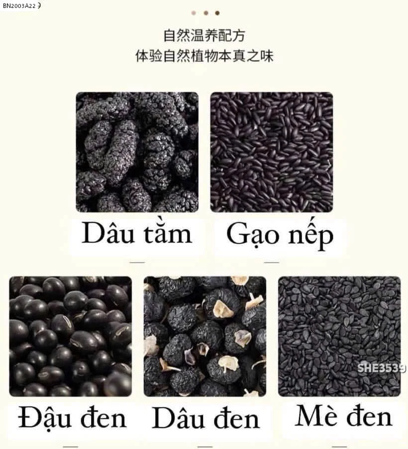 TRÀ NGŨ HẮC 5 NỘI ĐỊA