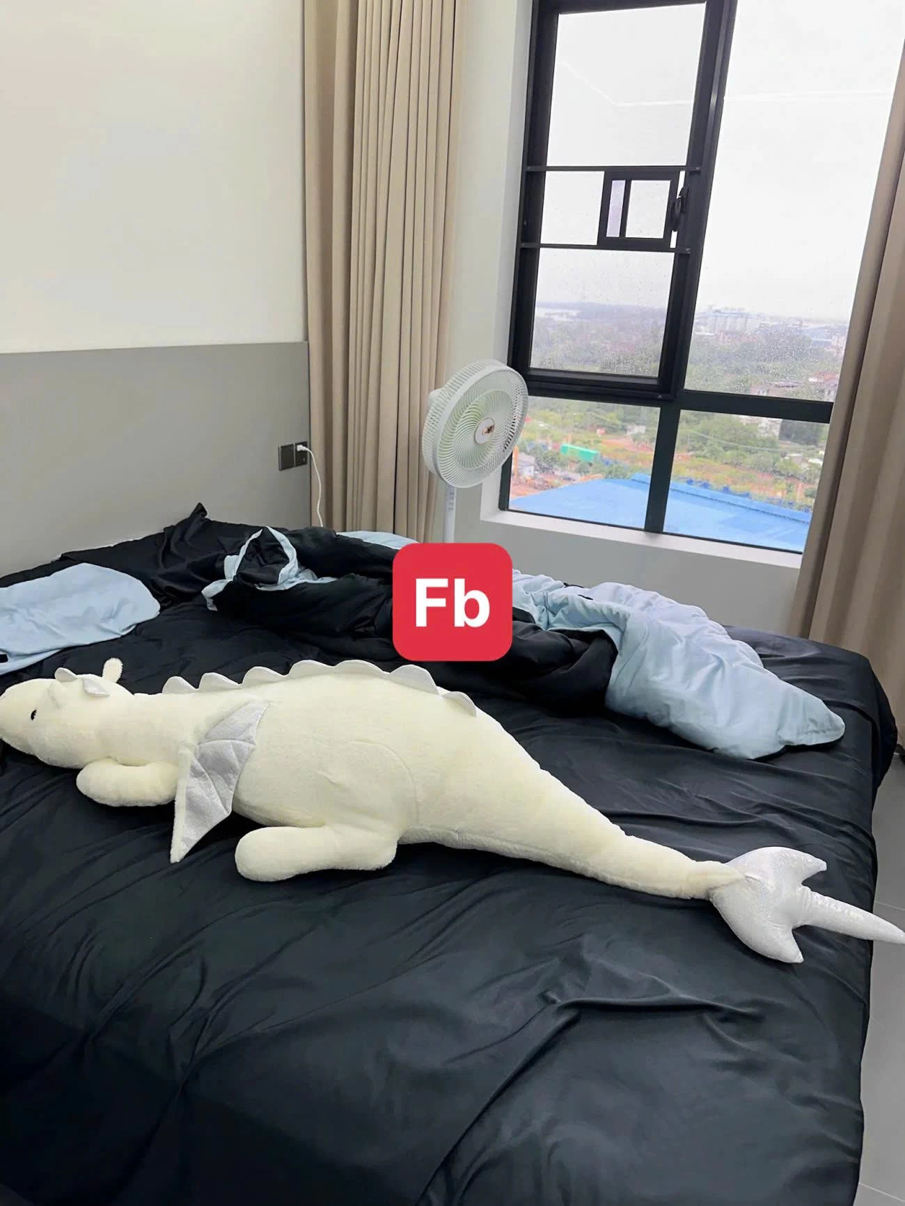 GẤU BÔNG RỒNG CON