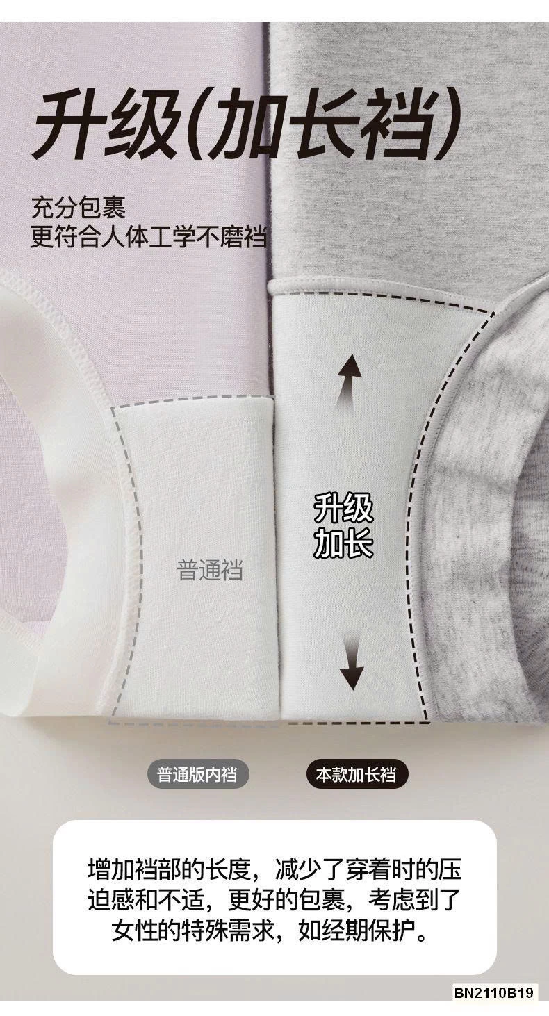 SET 5 QUẦN CHÍP COTTON