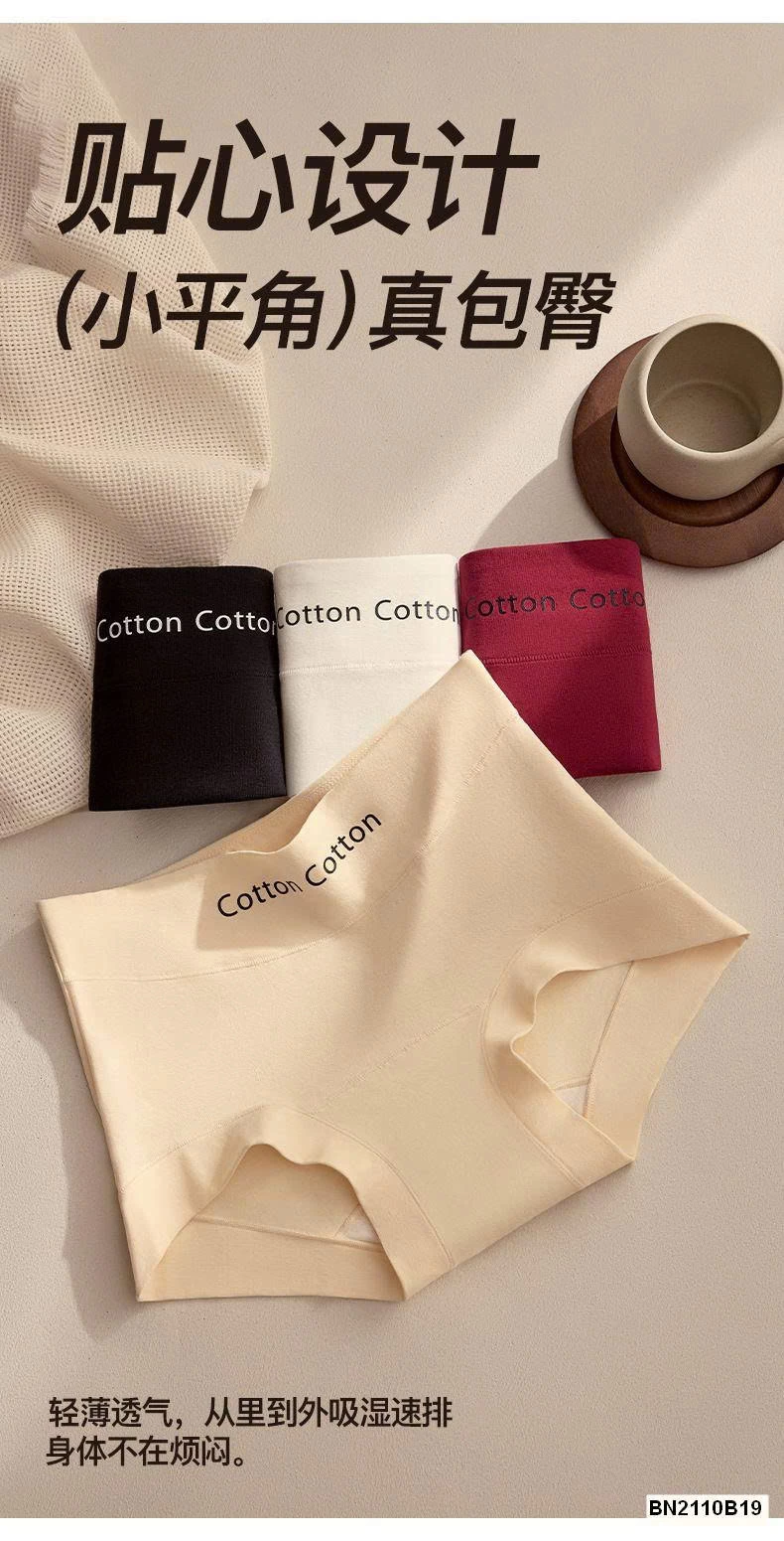 SET 5 QUẦN CHÍP COTTON