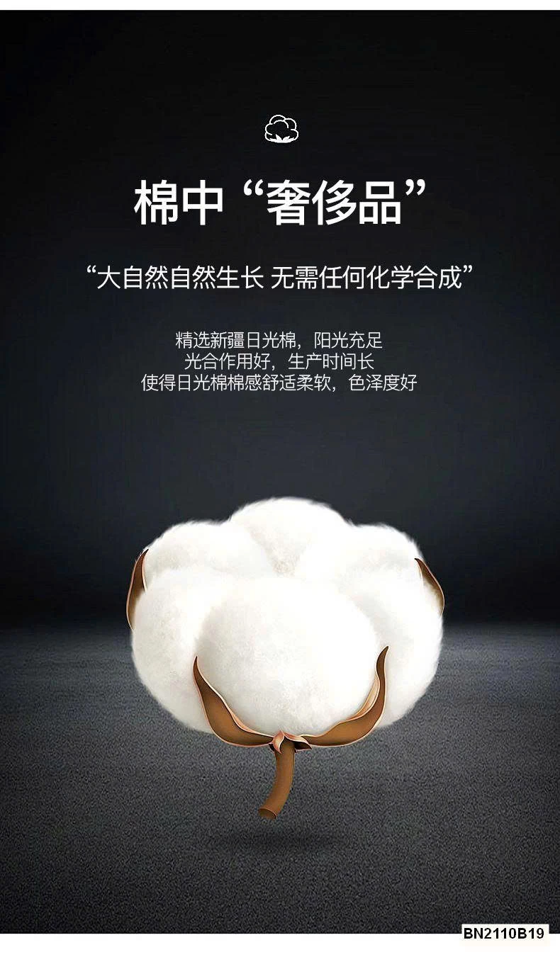 SET 5 QUẦN CHÍP COTTON