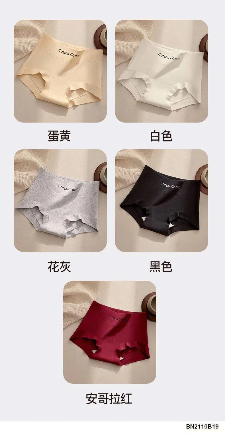 SET 5 QUẦN CHÍP COTTON