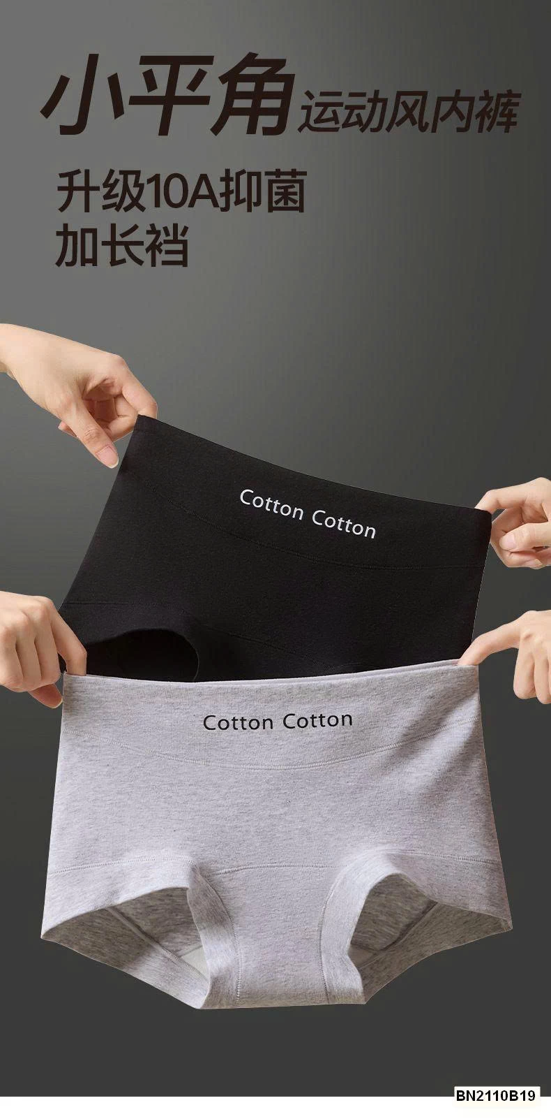 SET 5 QUẦN CHÍP COTTON