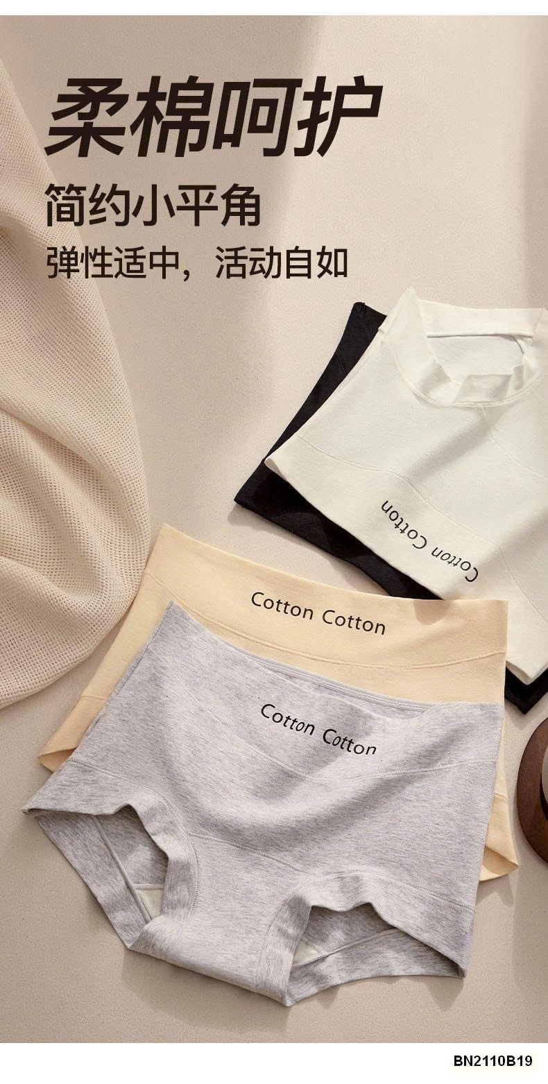 SET 5 QUẦN CHÍP COTTON