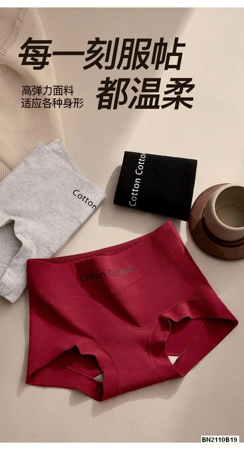 SET 5 QUẦN CHÍP COTTON