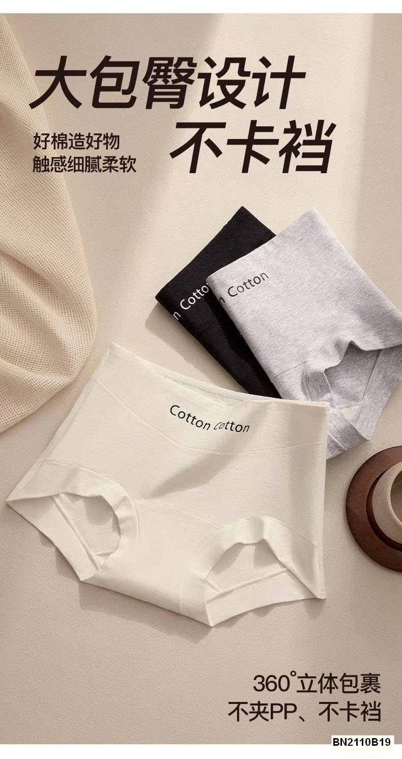 SET 5 QUẦN CHÍP COTTON