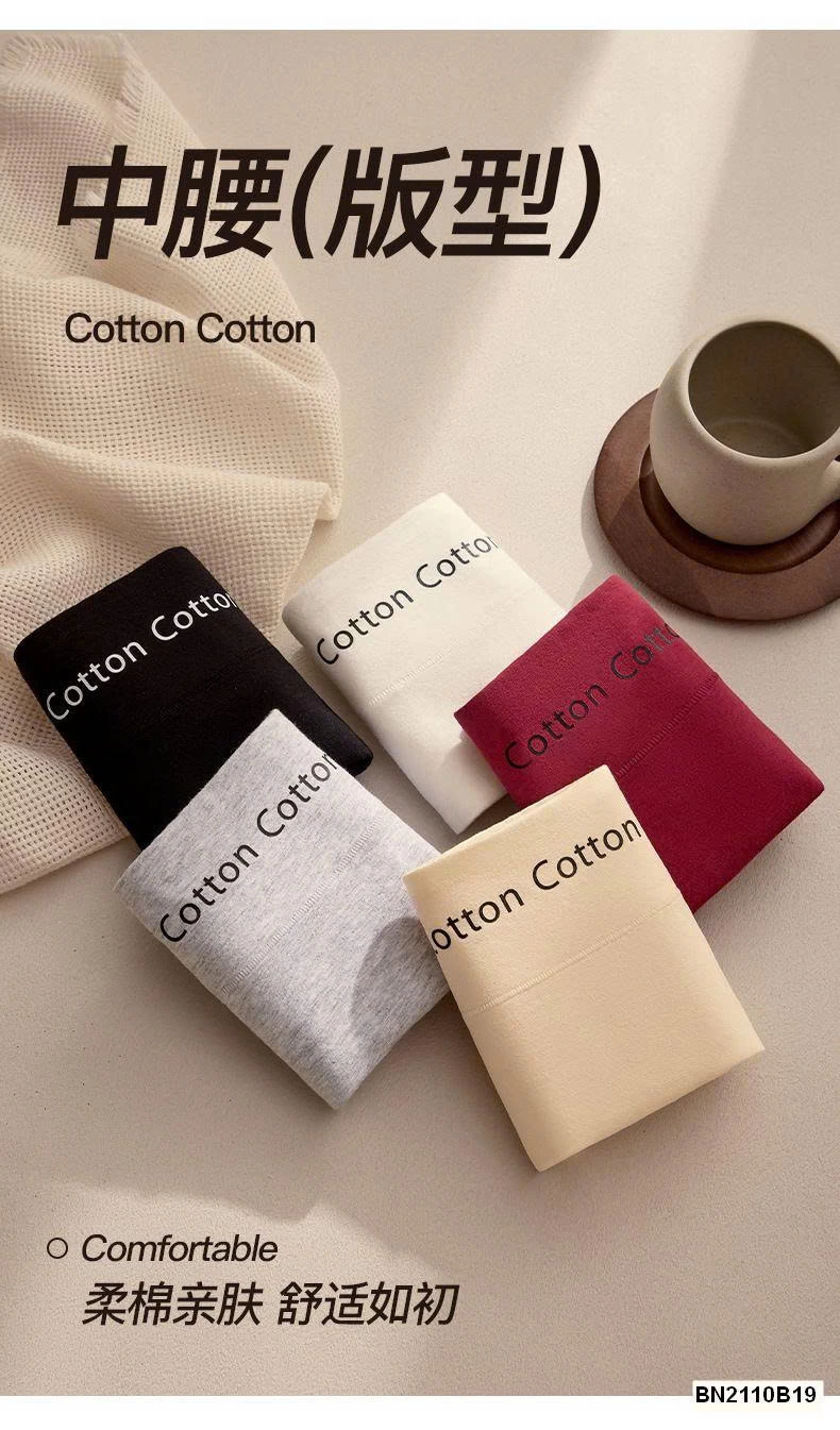 SET 5 QUẦN CHÍP COTTON