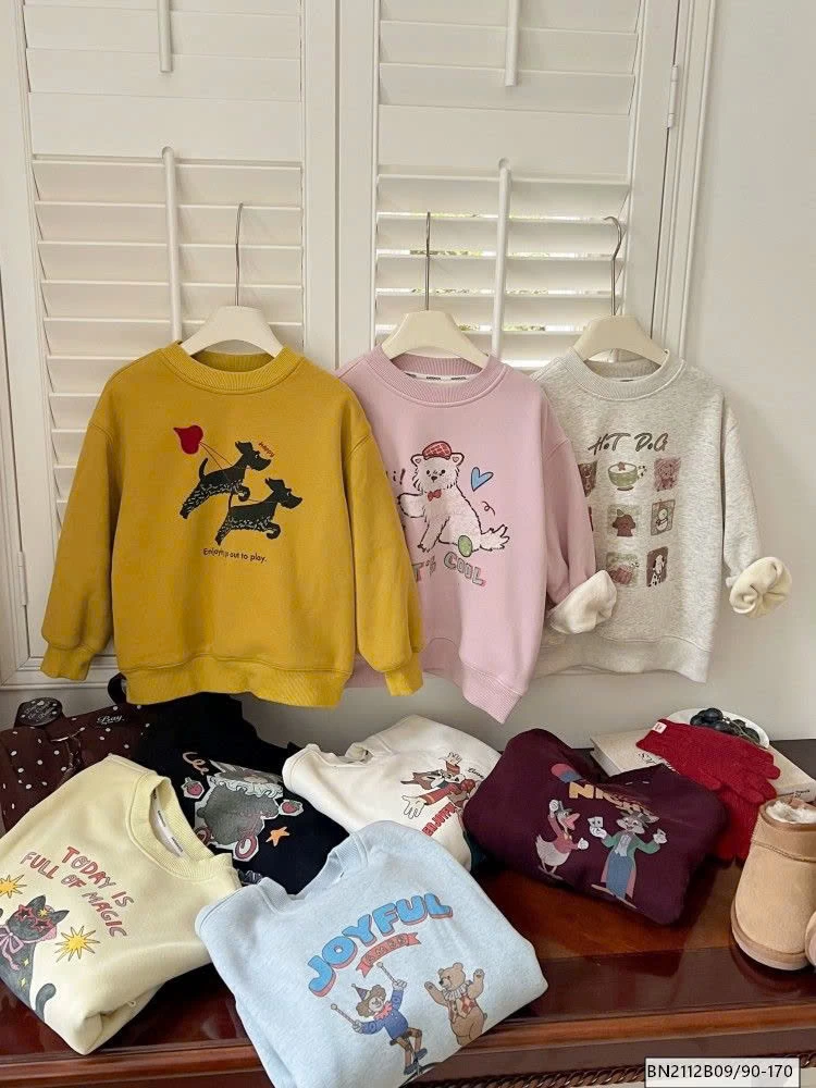 ÁO NỈ LÓT NHUNG AMBB  25H166