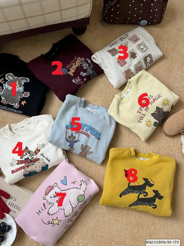 ÁO NỈ LÓT NHUNG AMBB 25H166