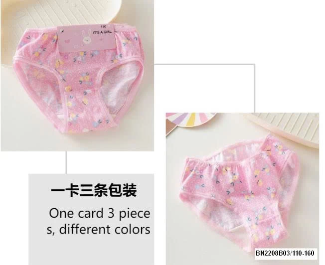 SET 12 QUẦN CHIP BG COTTON XỊN