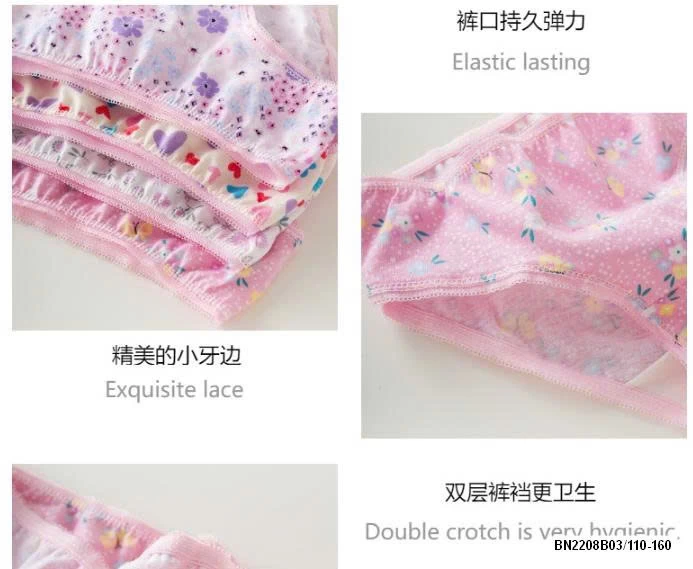 SET 12 QUẦN CHIP BG COTTON XỊN