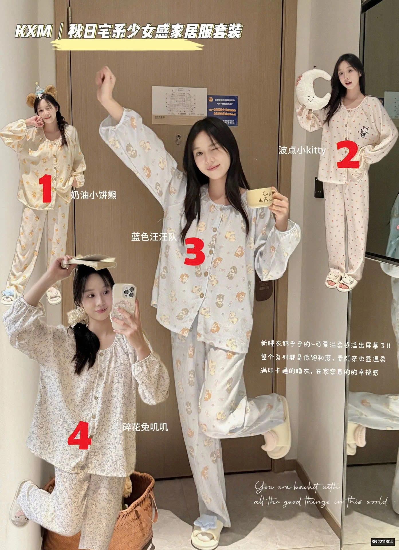 BỘ THÔ HỌA TIẾT MẶC NHÀ