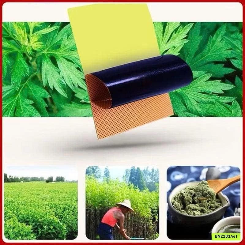 SET 2 GÓI MIẾNG DÁN NGẢI CỨU ĐA NĂNG