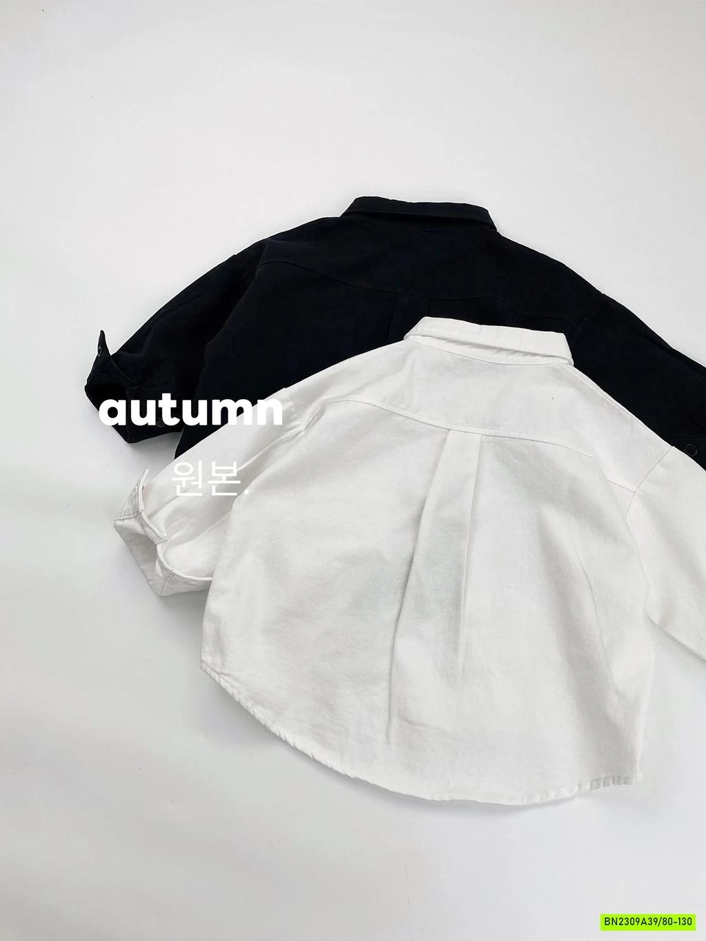 SƠ MI CỔ ĐỨC ĐUÔI TÔM MÙA THU