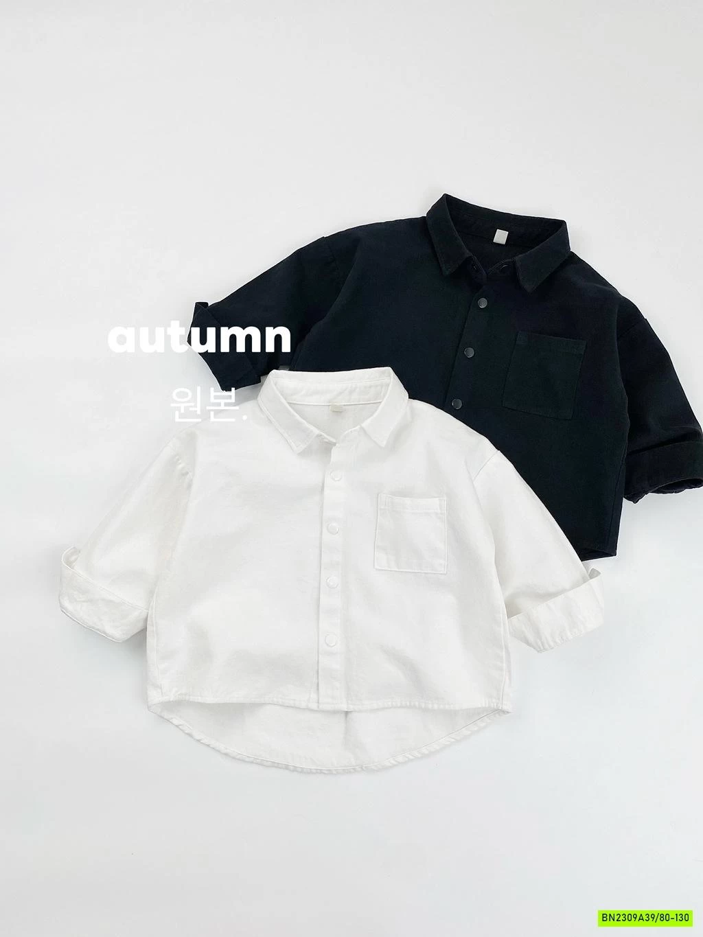 SƠ MI CỔ ĐỨC ĐUÔI TÔM MÙA THU