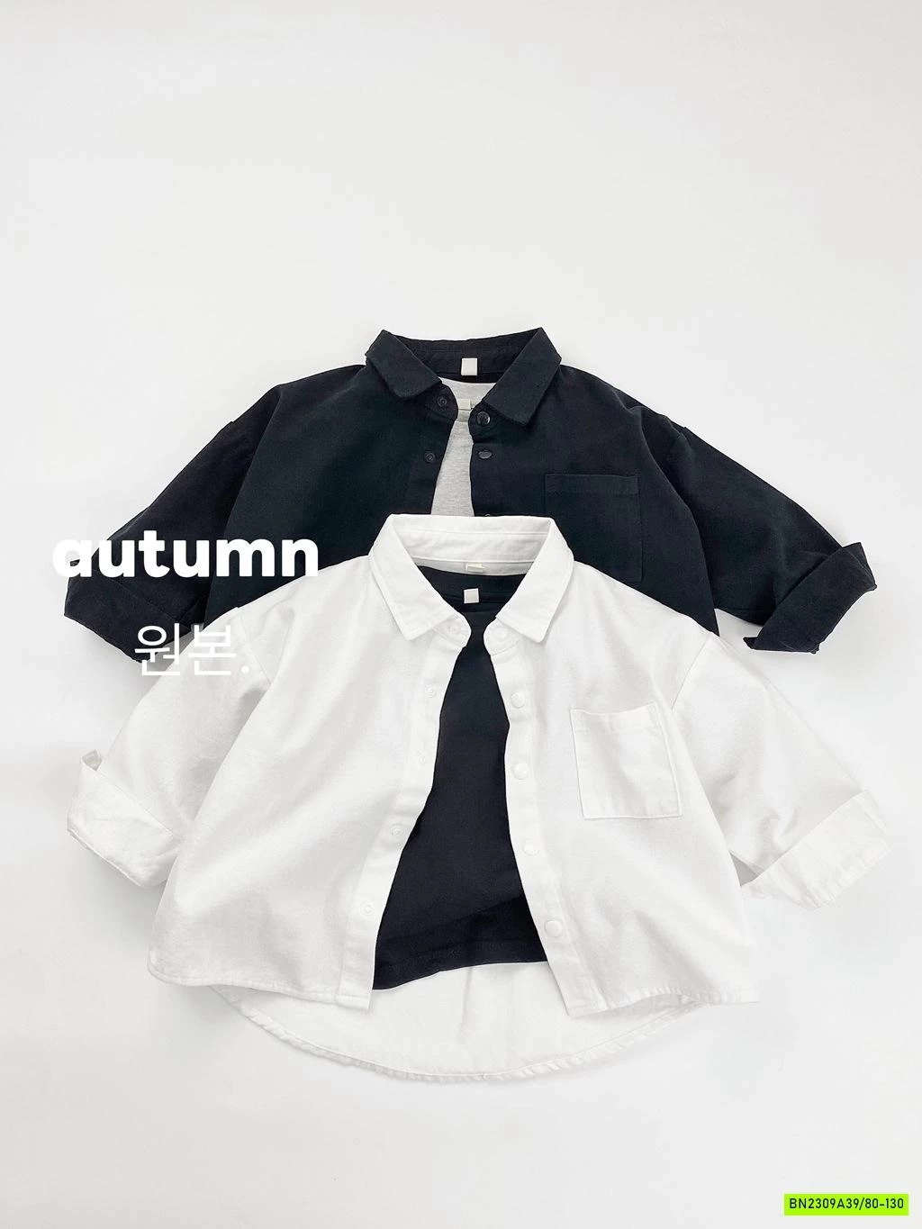 SƠ MI CỔ ĐỨC ĐUÔI TÔM MÙA THU