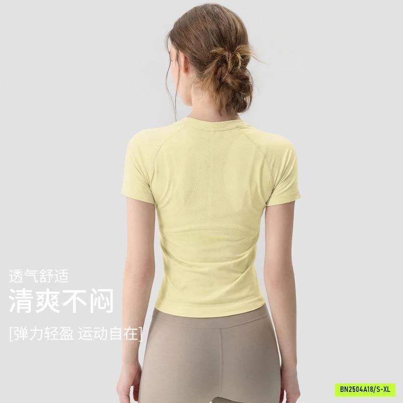 ÁO TẬP CỔ TRÒN TRƠN MÀU