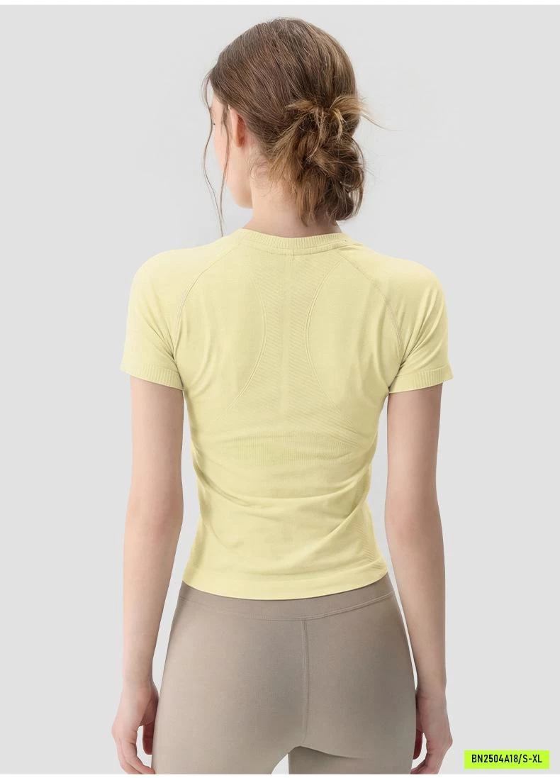 ÁO TẬP CỔ TRÒN TRƠN MÀU