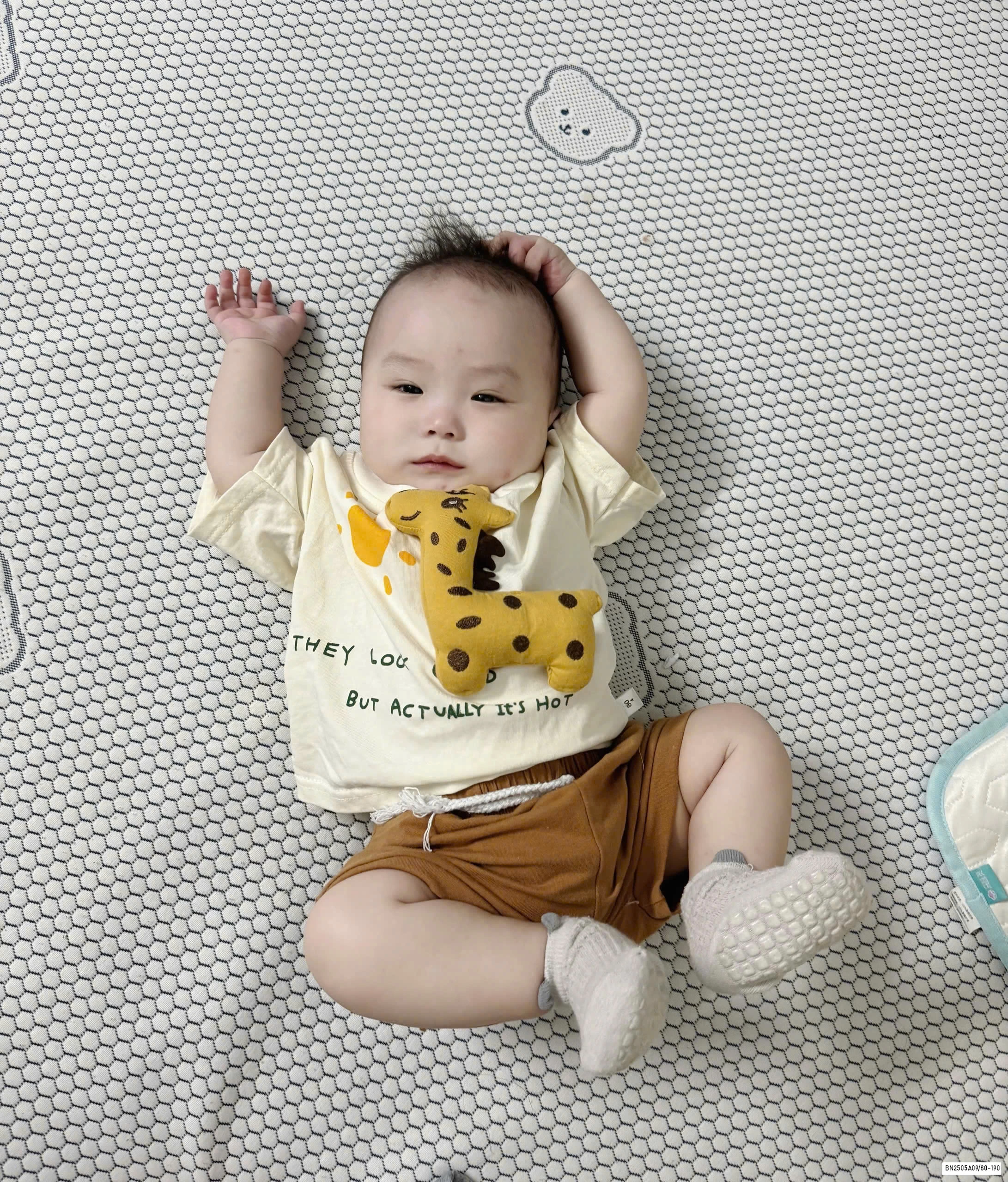 BST ÁO THUN GẮN THÚ CƯNG