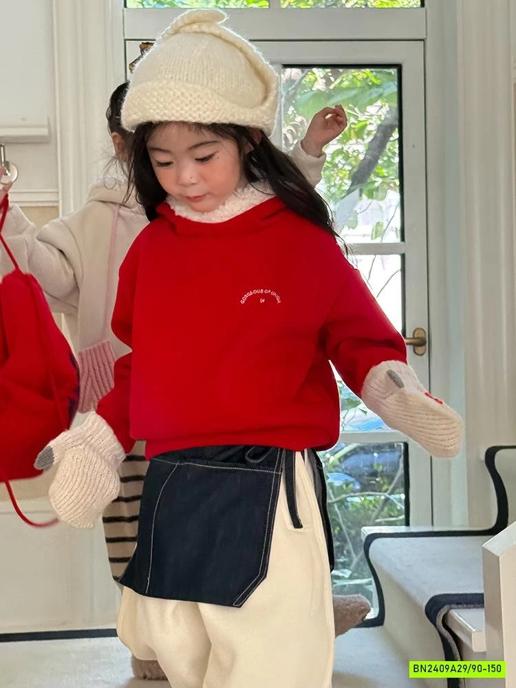 HOODIE NỈ LÓT LÔNG