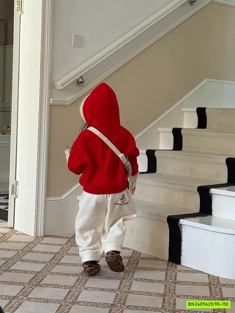 HOODIE NỈ LÓT LÔNG