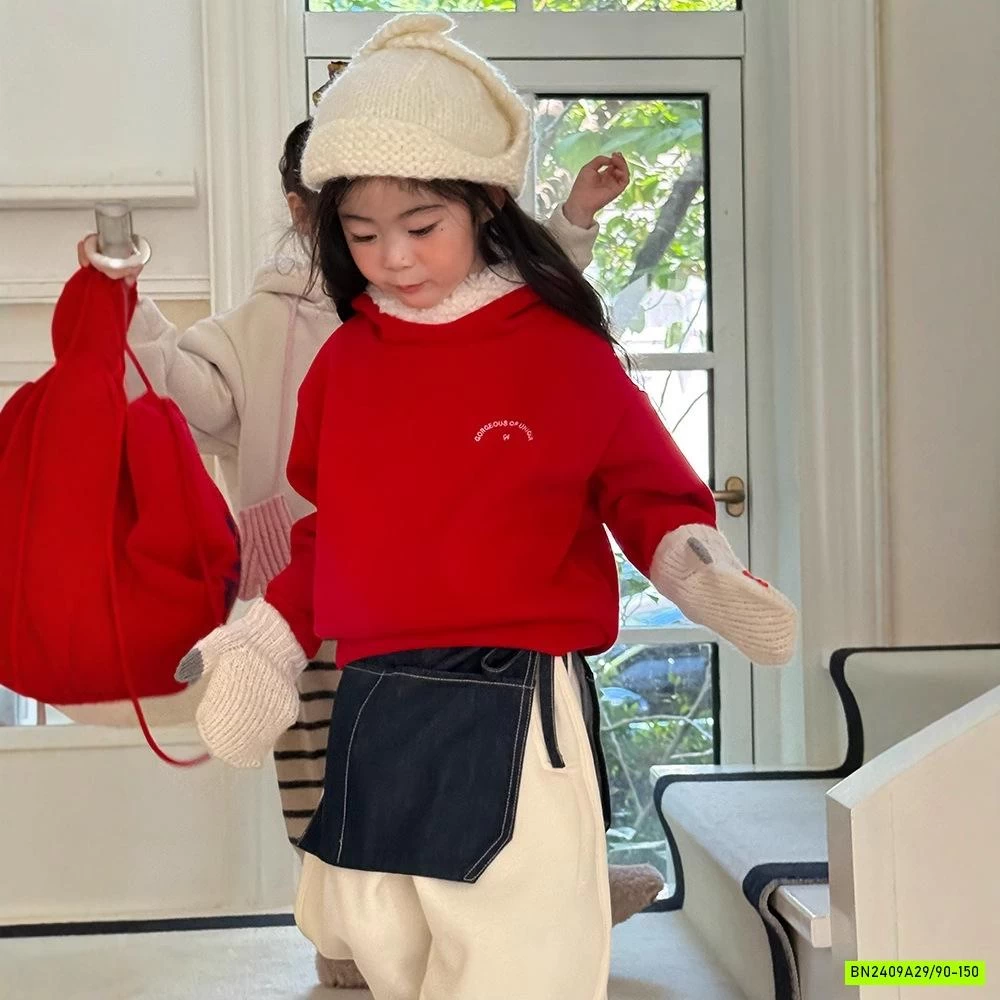 HOODIE NỈ LÓT LÔNG