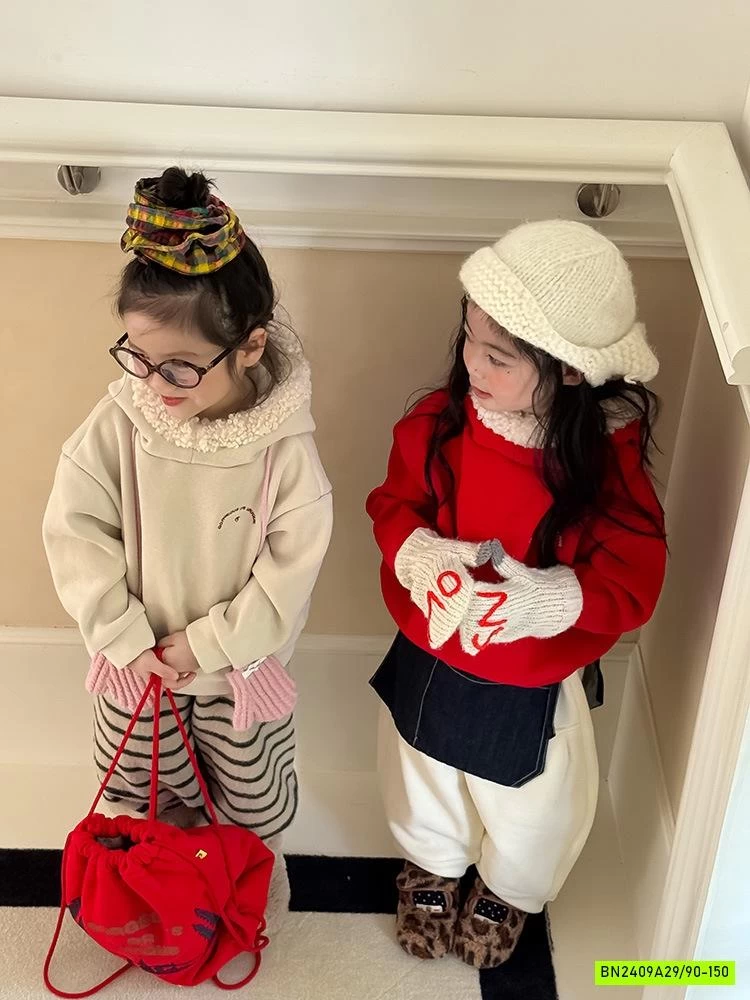 HOODIE NỈ LÓT LÔNG