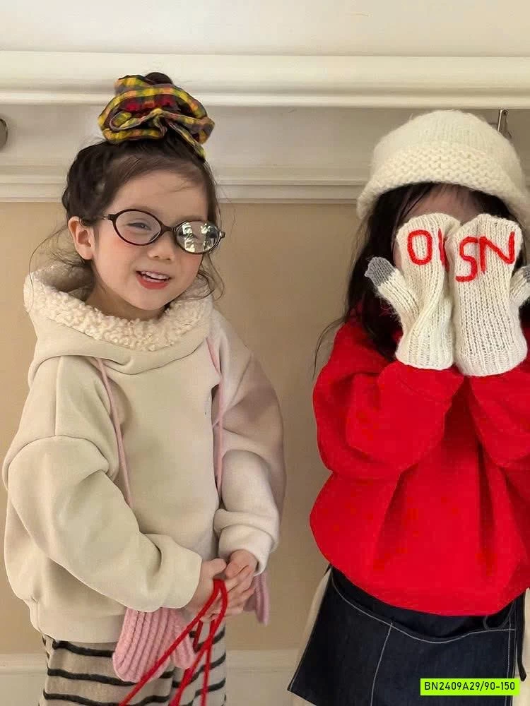 HOODIE NỈ LÓT LÔNG