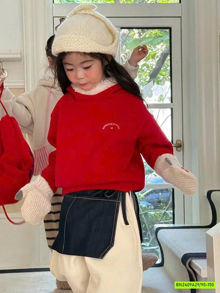 HOODIE NỈ LÓT LÔNG