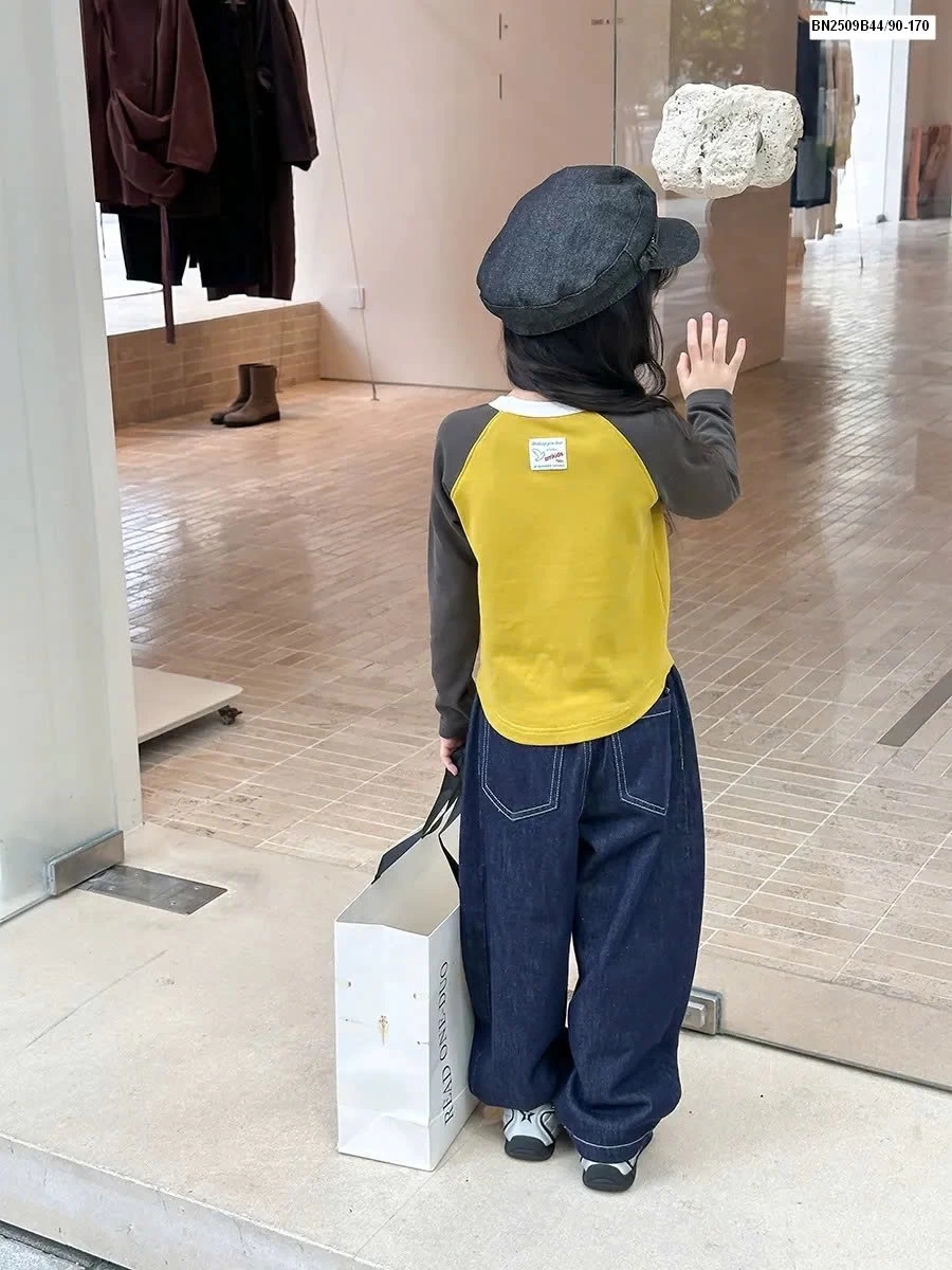 Áo dài tay phối màu nhà Ambb  25G040