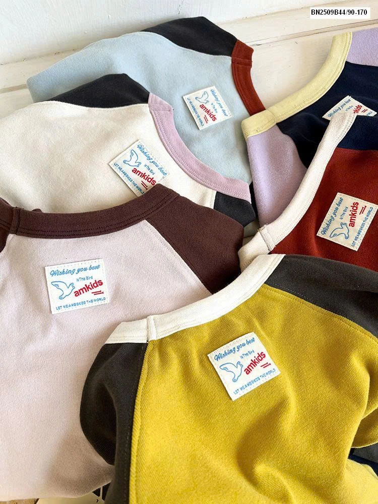 Áo dài tay phối màu nhà Ambb  25G040