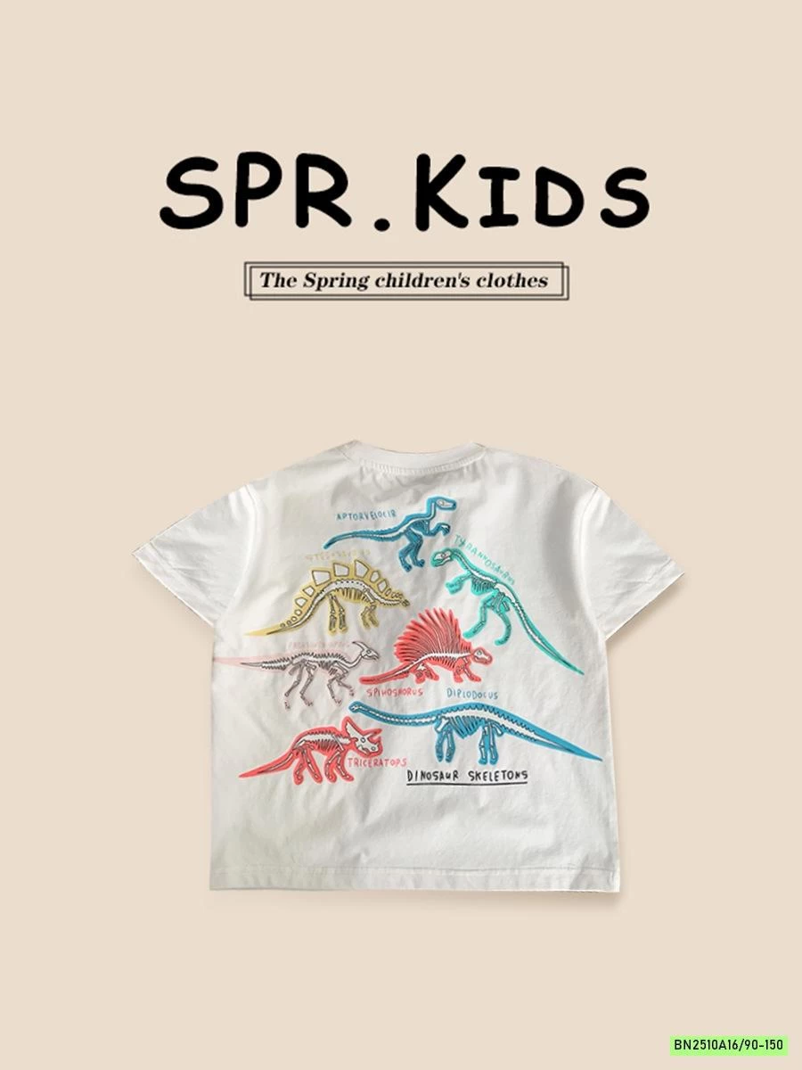 ÁO THUN KHỦNG LONG PHẢN QUANG