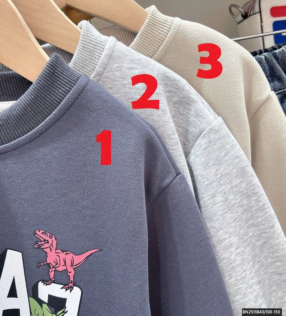 ÁO NỈ KHỦNG LONG MÙA ĐÔNG KACADY