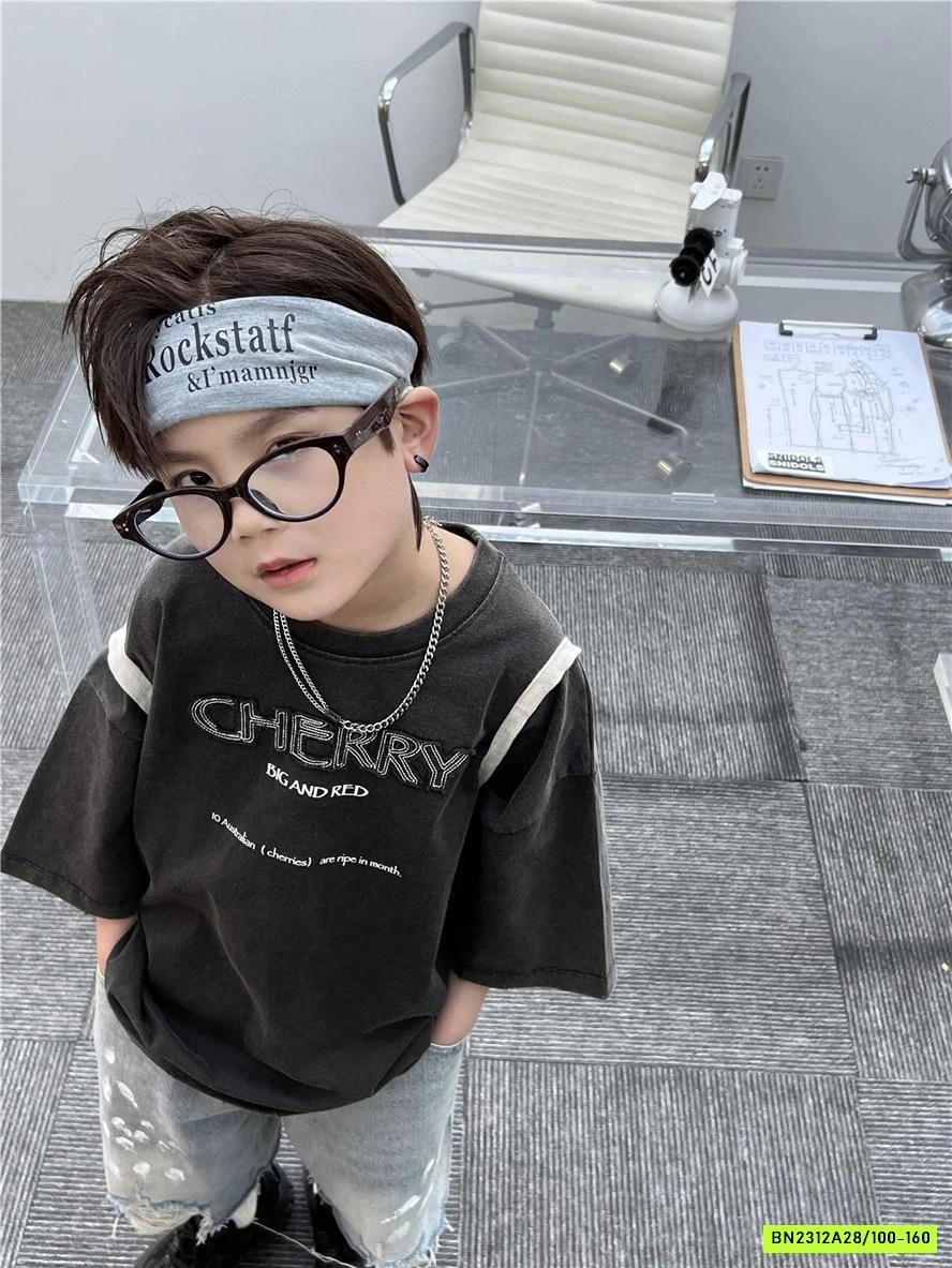 ÁO THUN THÊU CHỮ SNIDOLS