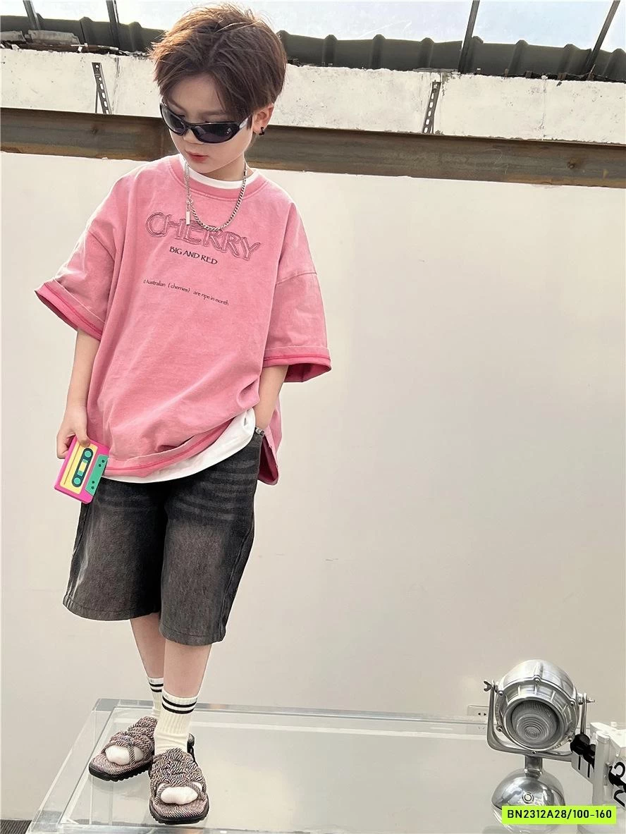 ÁO THUN THÊU CHỮ SNIDOLS