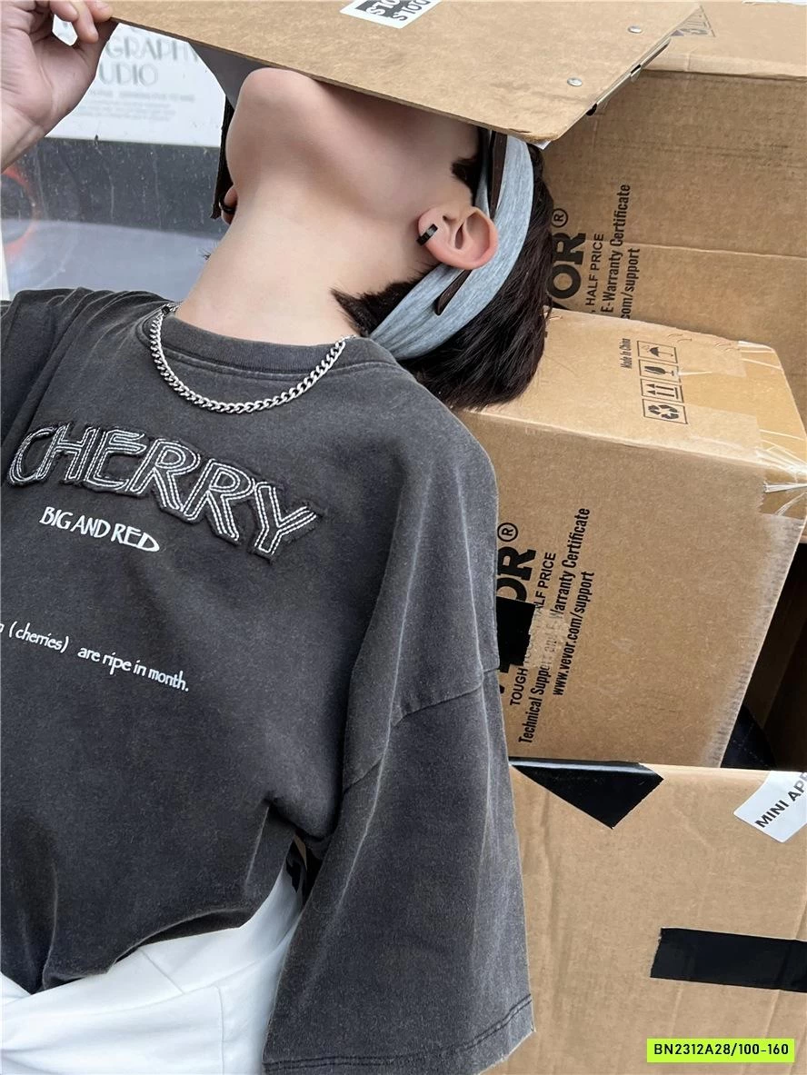 ÁO THUN THÊU CHỮ SNIDOLS