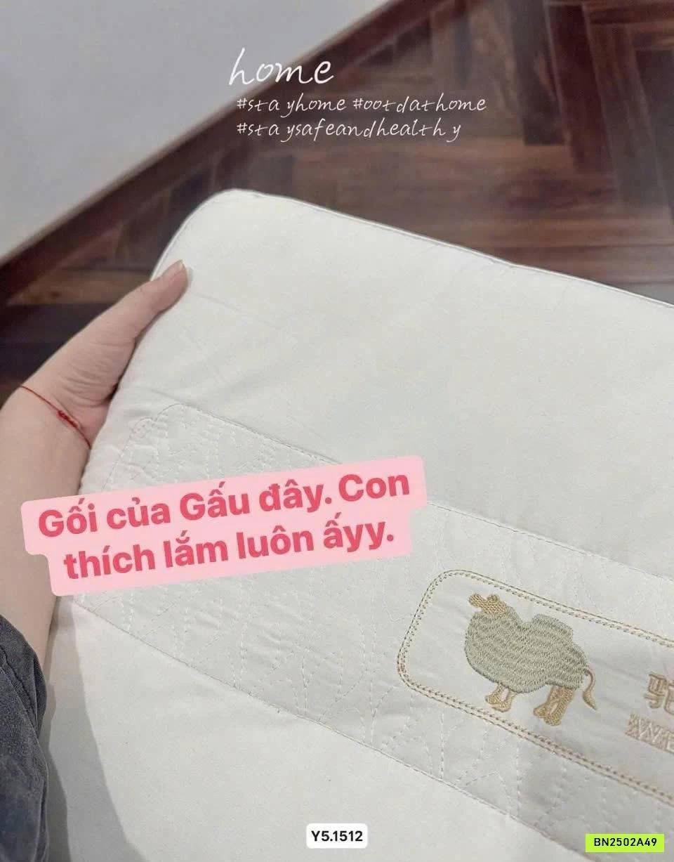 SÉT 2 GỐI LẠC ĐÀ KHÁNG KHUẨN