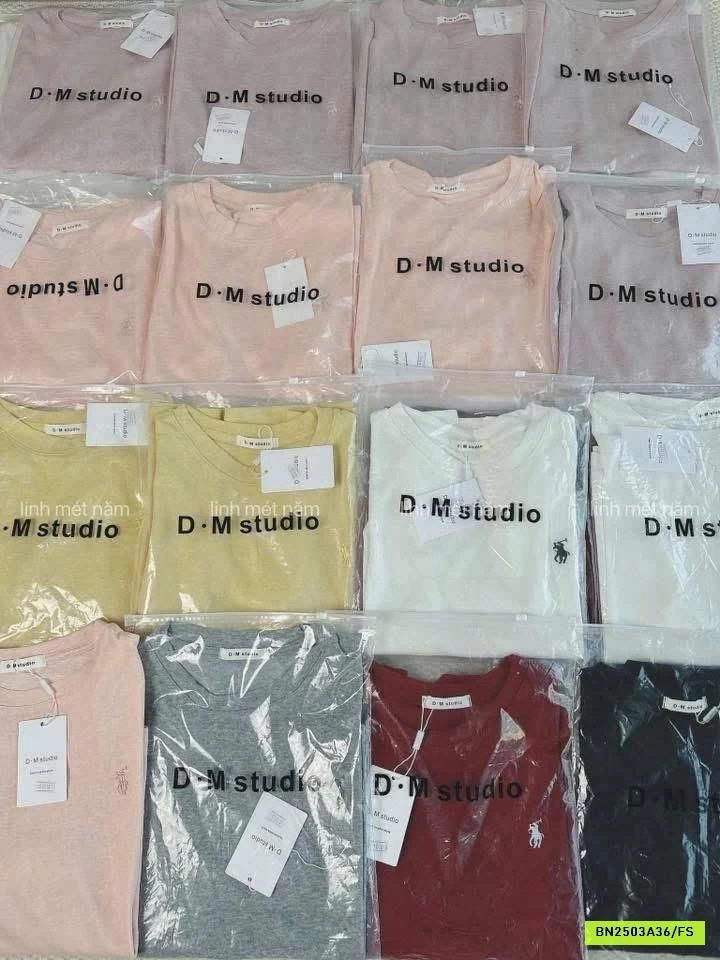 THUN GIẤY D-MSTUDIO