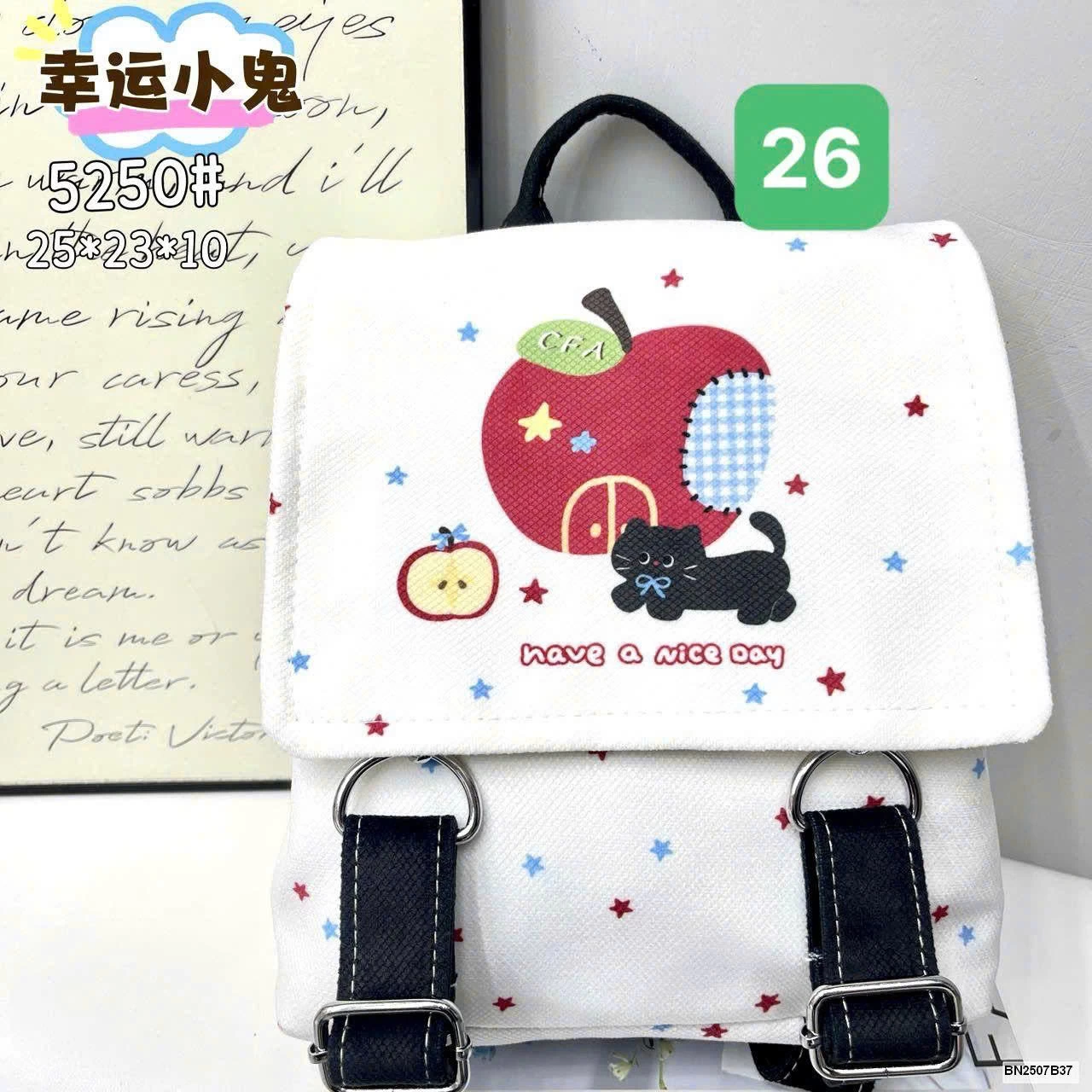 BALO CANVAS IN HÌNH SIÊU XINHHH