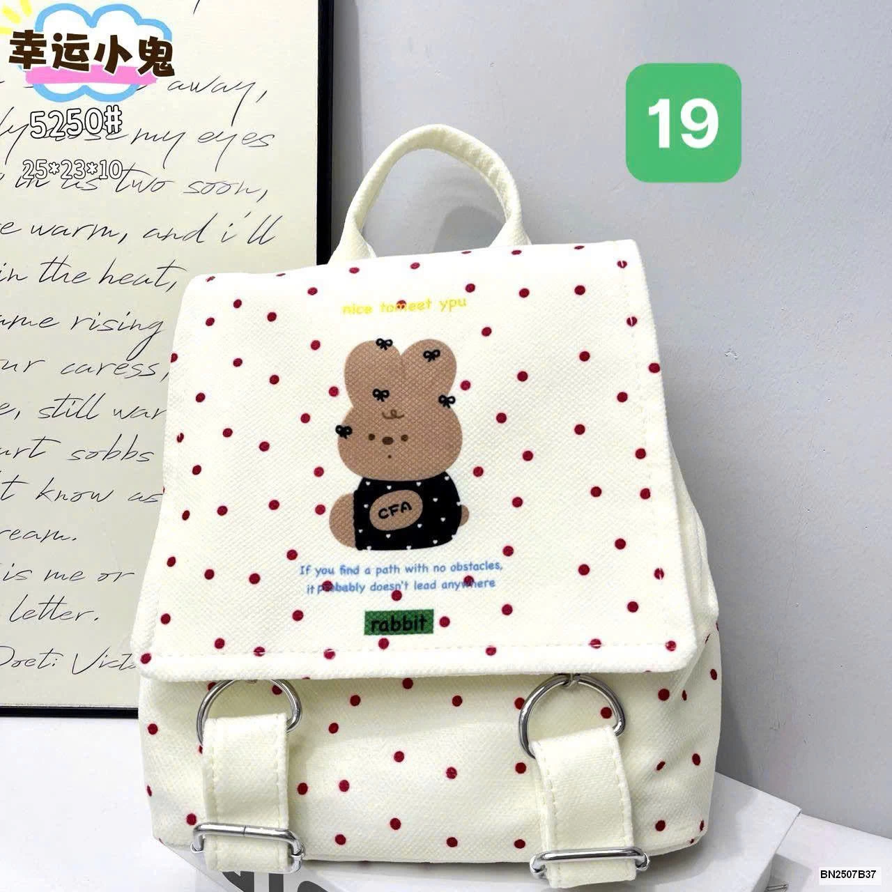 BALO CANVAS IN HÌNH SIÊU XINHHH