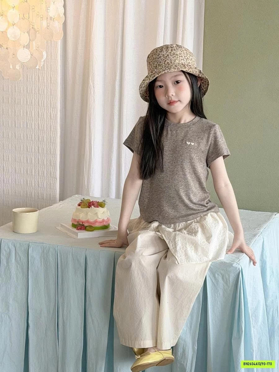 ÁO THUN THÊU TRÁI TIM 26B243 AMBB